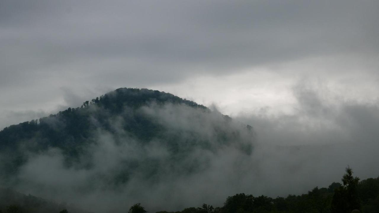 West Wood * Княгиня
