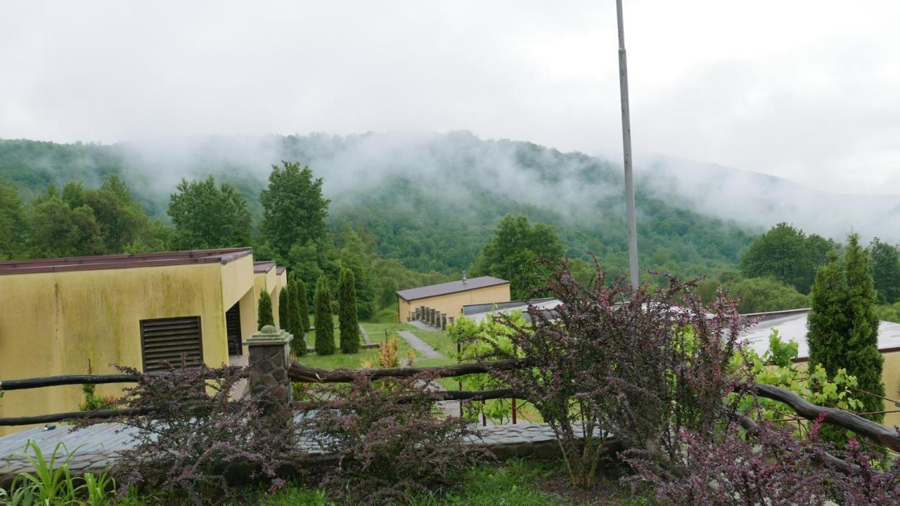 Aparthotel West Wood Knyagynya